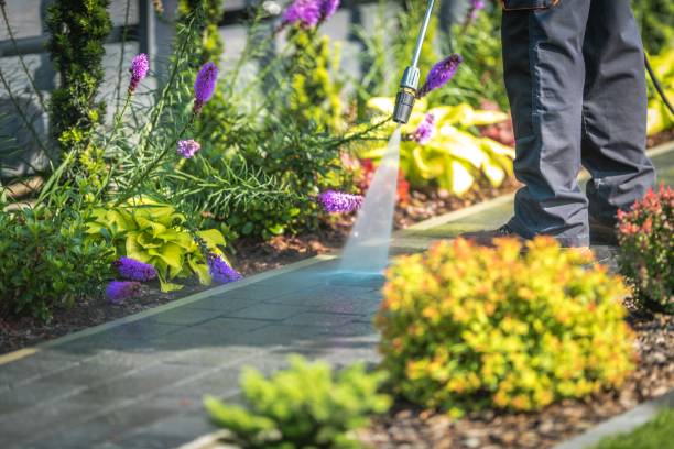 Best Winterizing Services  in Ofallon, MO